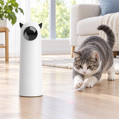 Cat chasing the laser from the Automatic Cat Toy