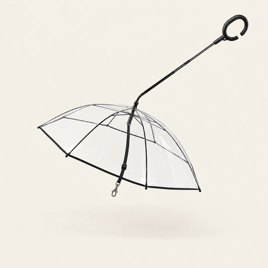 Dog Umbrella studio photo